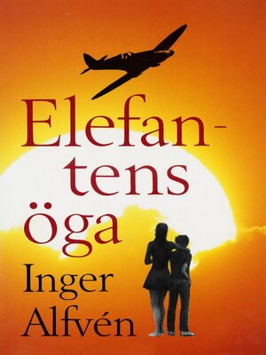 cover image of Elefantens öga